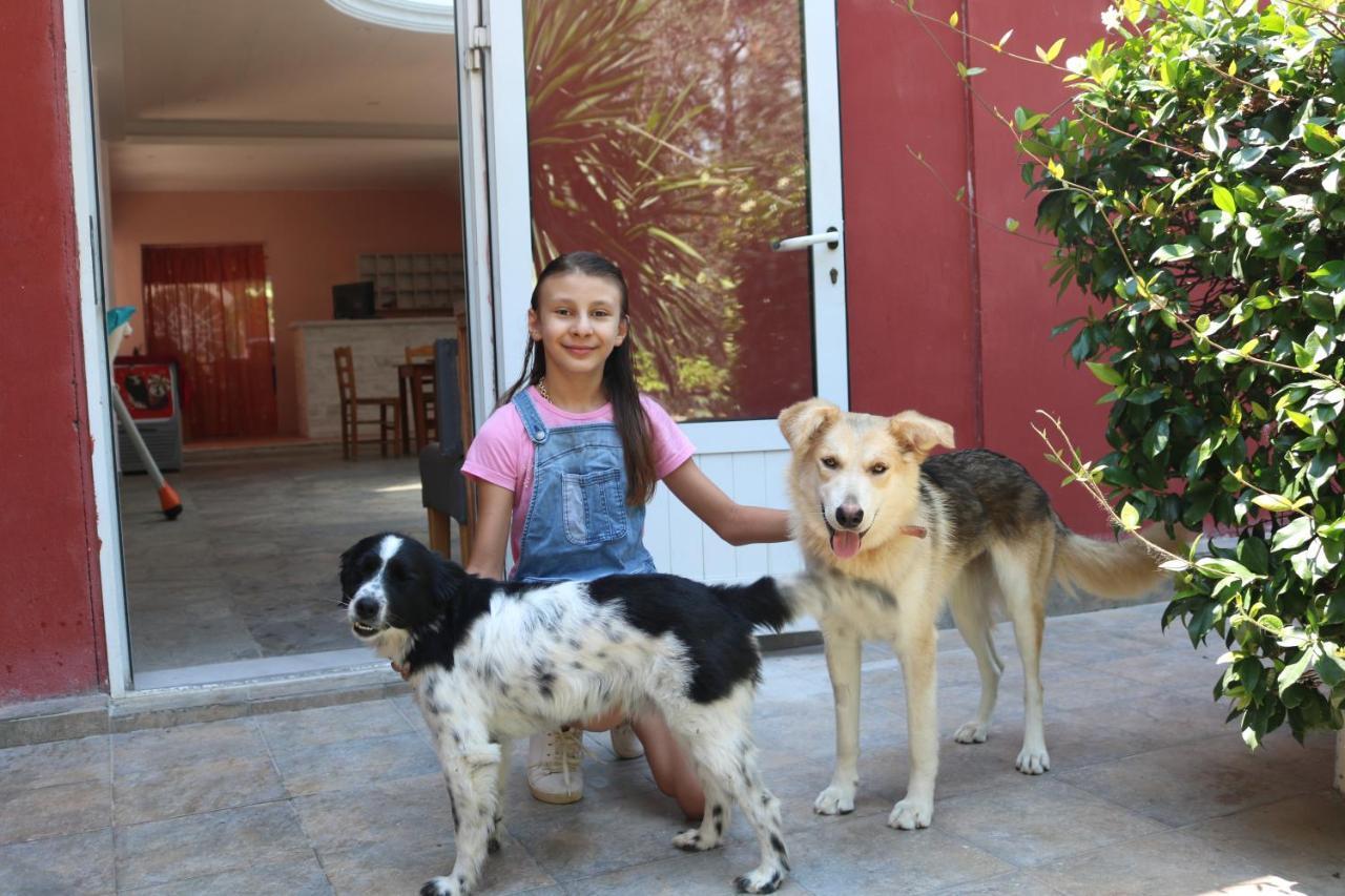 Madalenas B&B Pelekas Ngoại thất bức ảnh